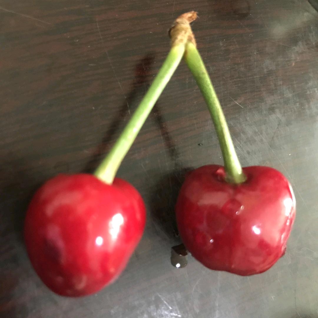 追逐梦想