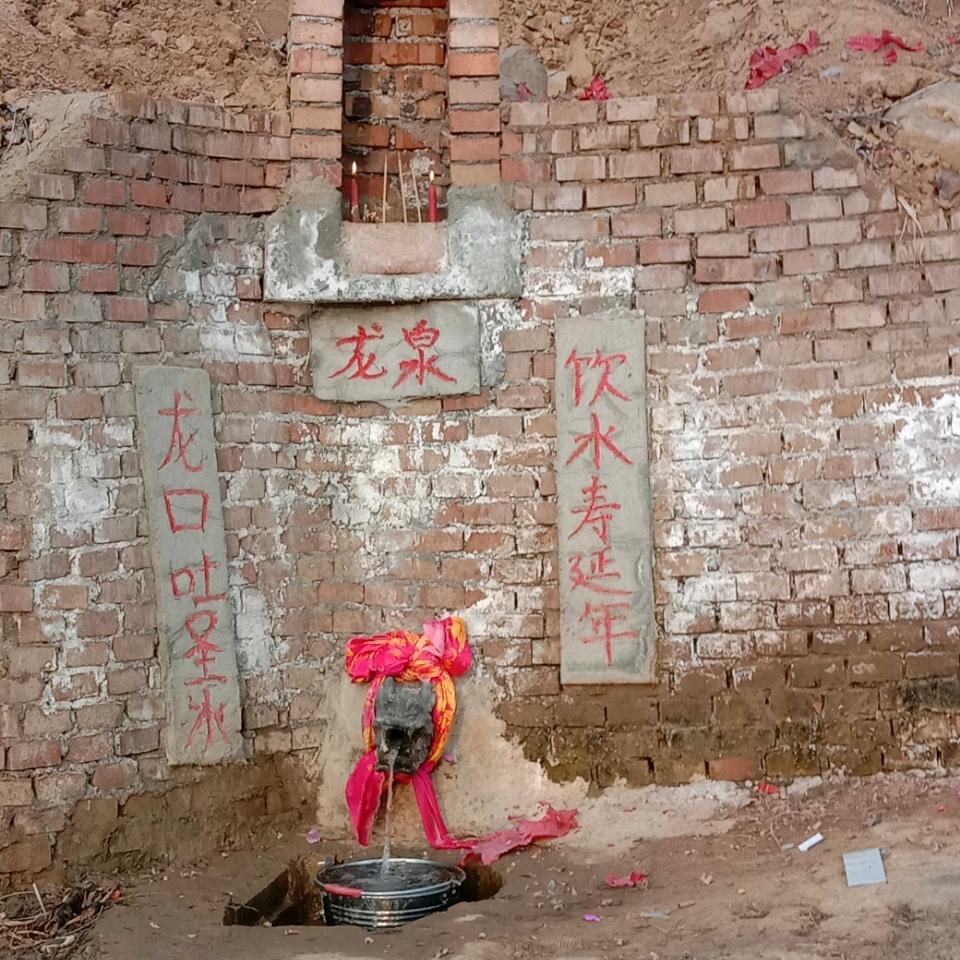 朱南龙泉