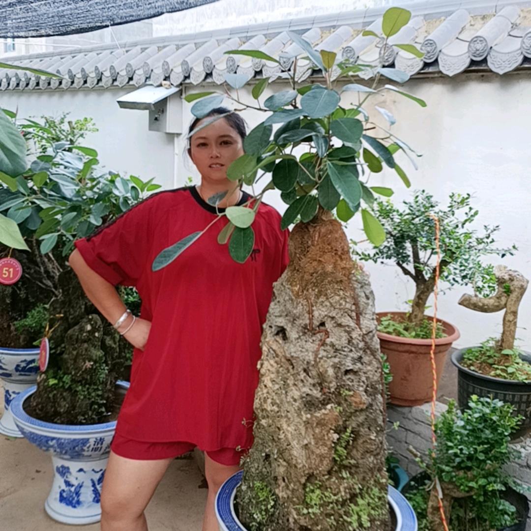 随缘遇景吸水石基地直发