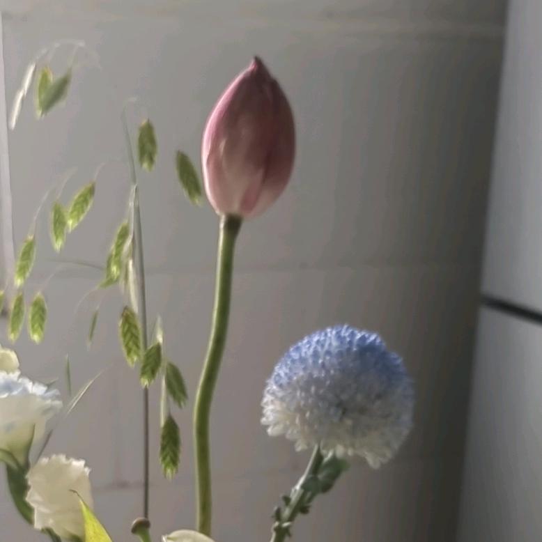 温暖心灵👍👍👍🍀🍀🍀