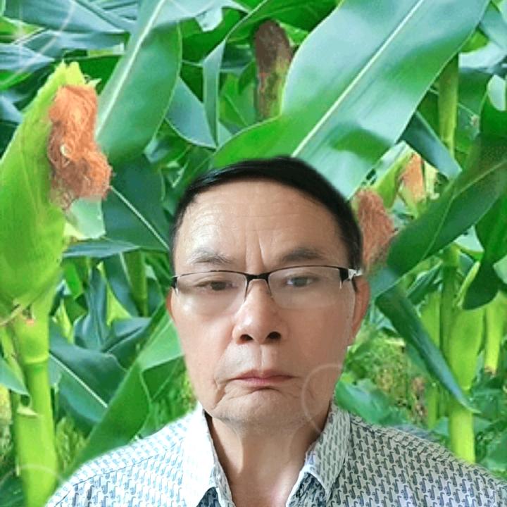 曾大哥