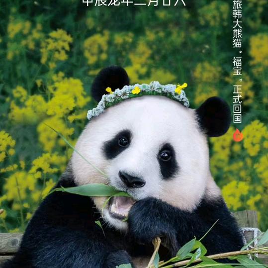 用户…