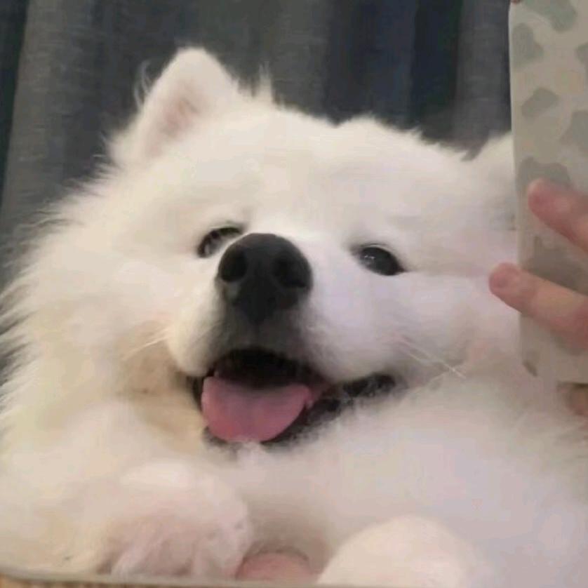 修勾～