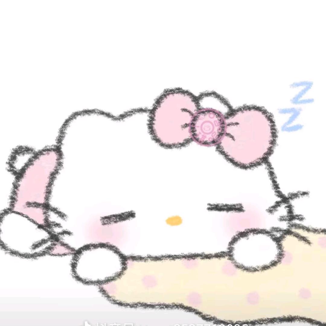 加 菲 猫.