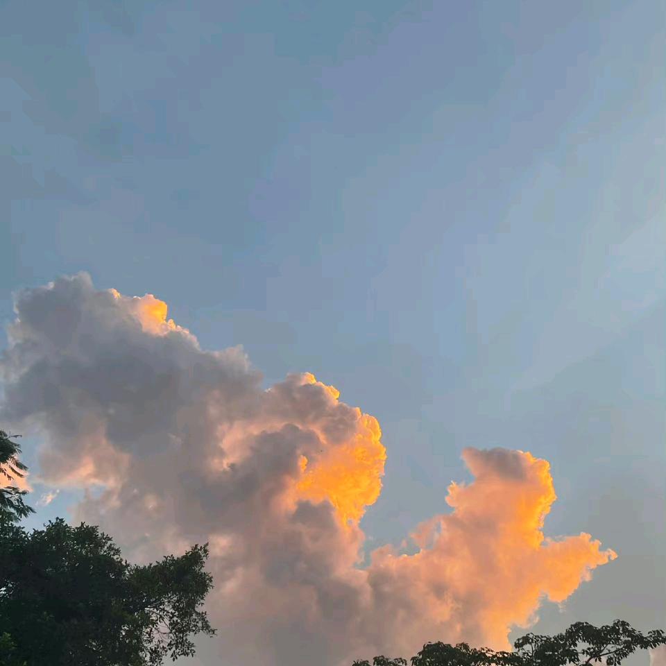 12桑尼