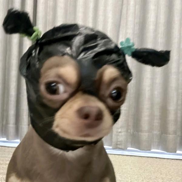 一嚸嚸