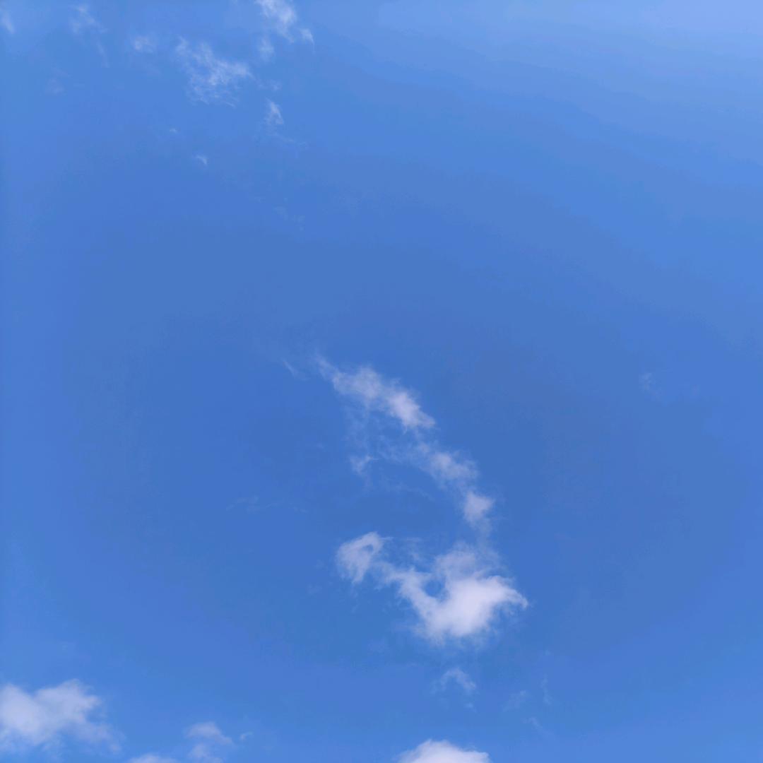小胡萝卜头