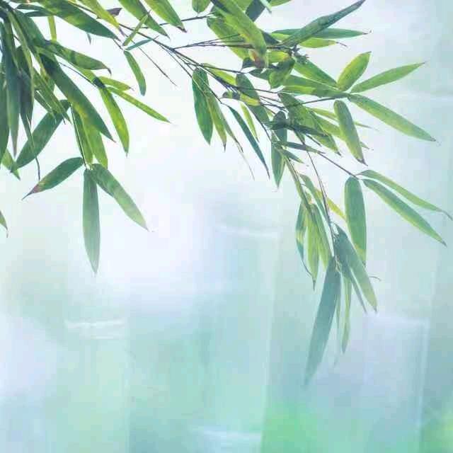 梦想家园94老兵