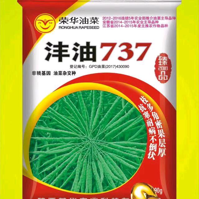沣油737 一碗菜籽半碗油