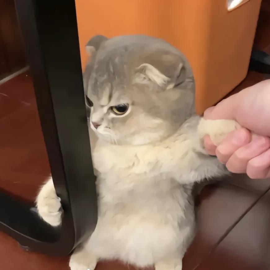 要做就做男波万😎