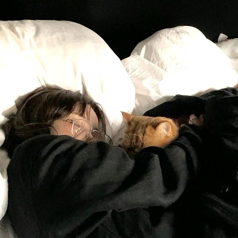 💤