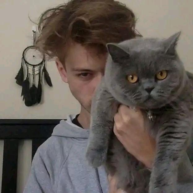 北风（三角洲跑刀）