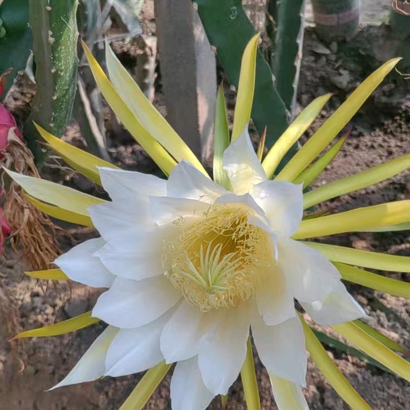 于舒欣和小小于