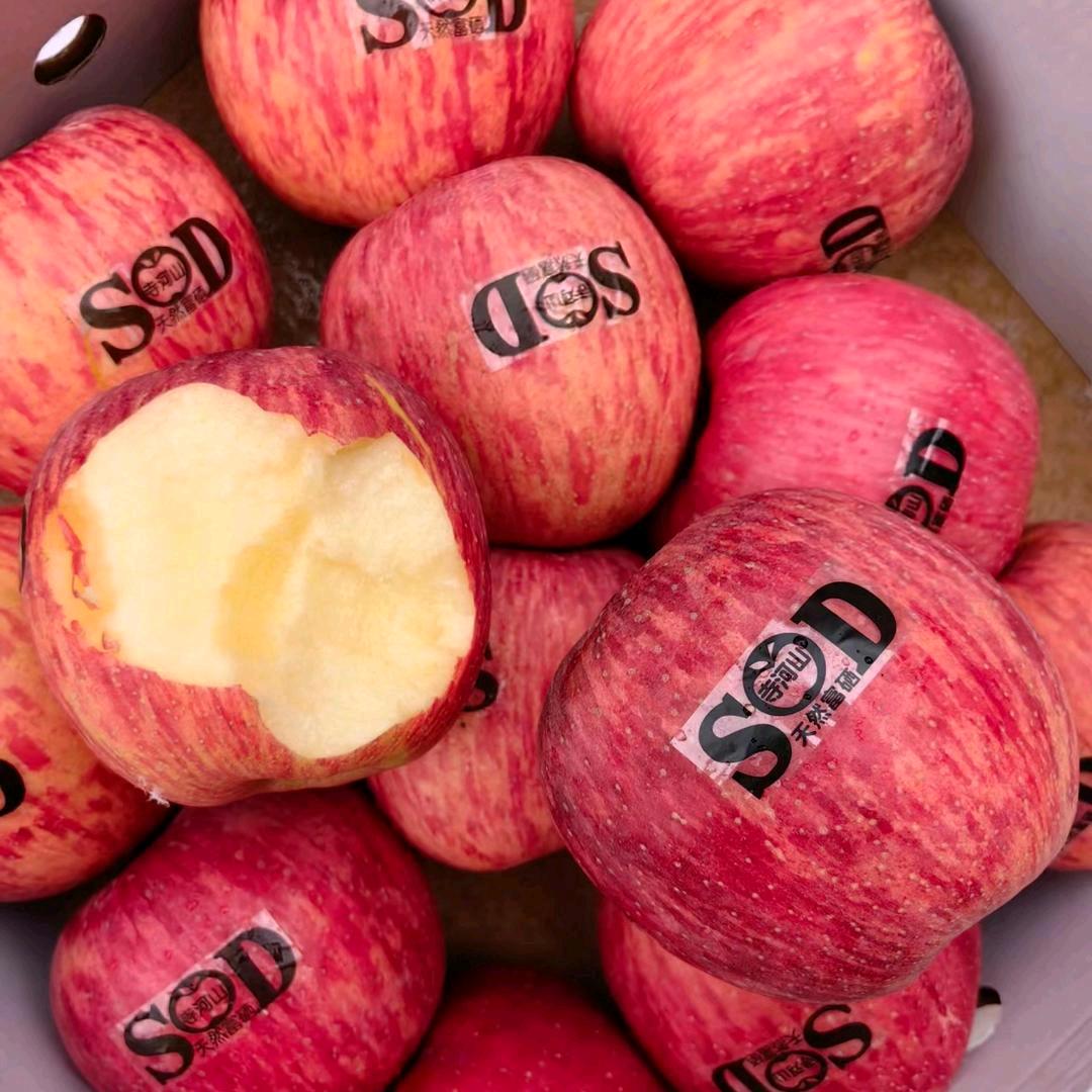 灵宝寺河金果优选