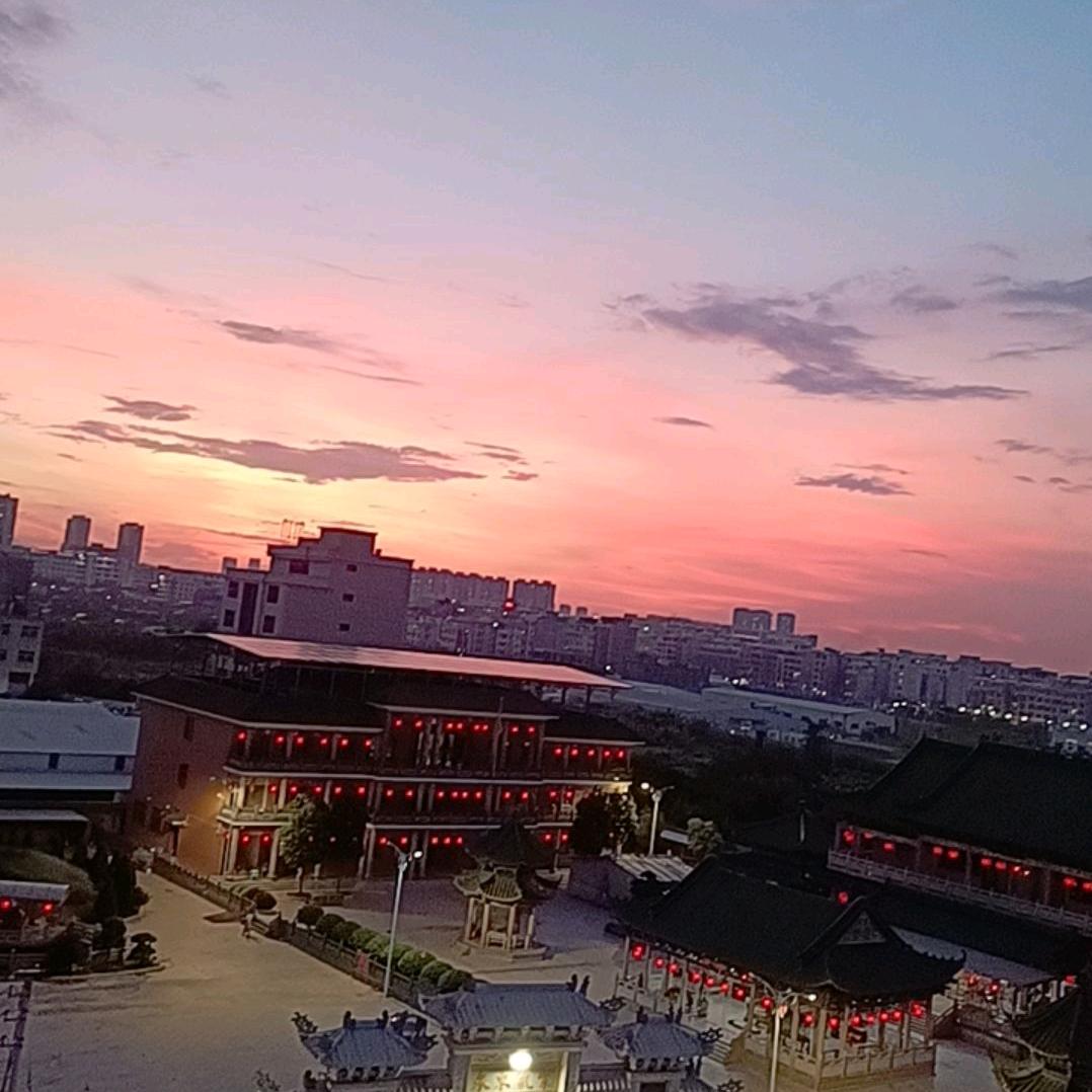 幸运小🥬