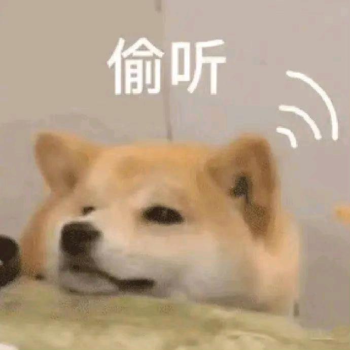 崽崽