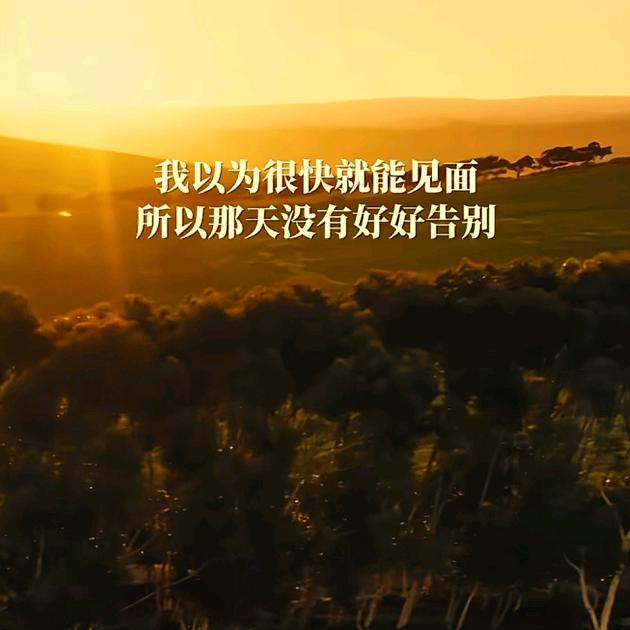 看🦌看🐳看⛰️