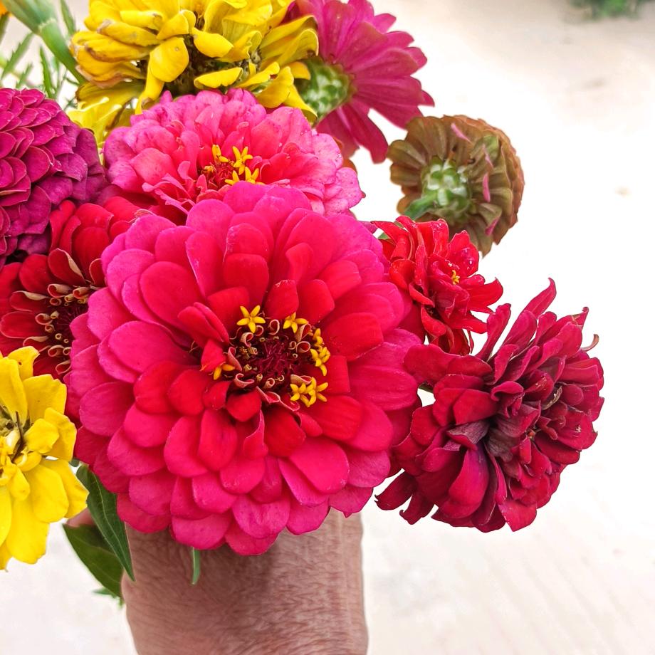 别因为我离不开你