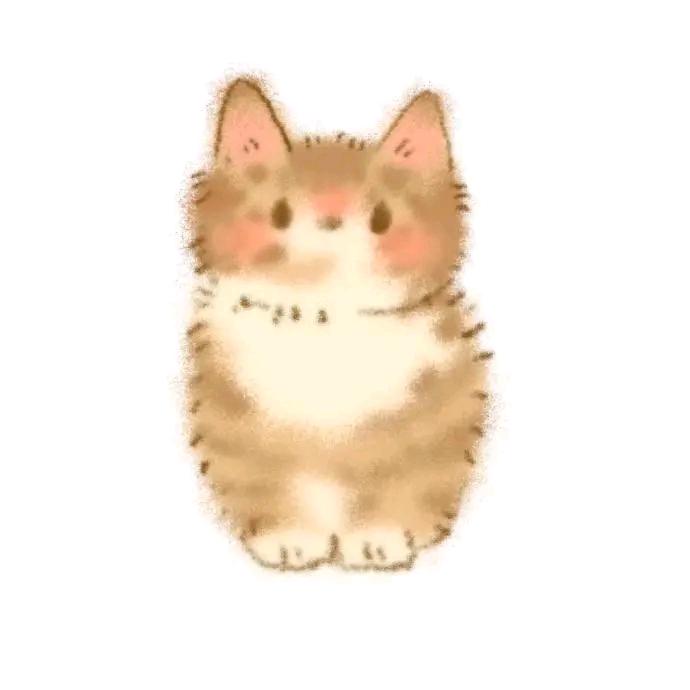 新新贝
