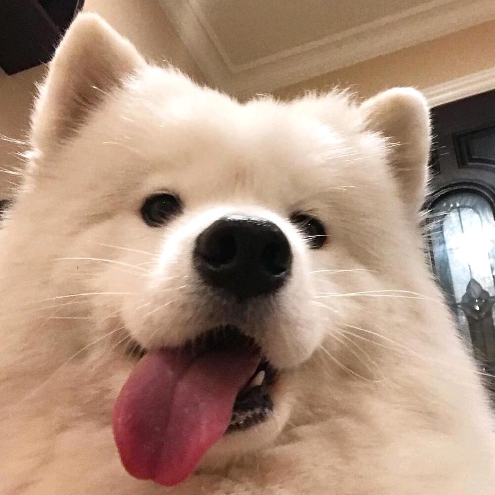 有点焦求