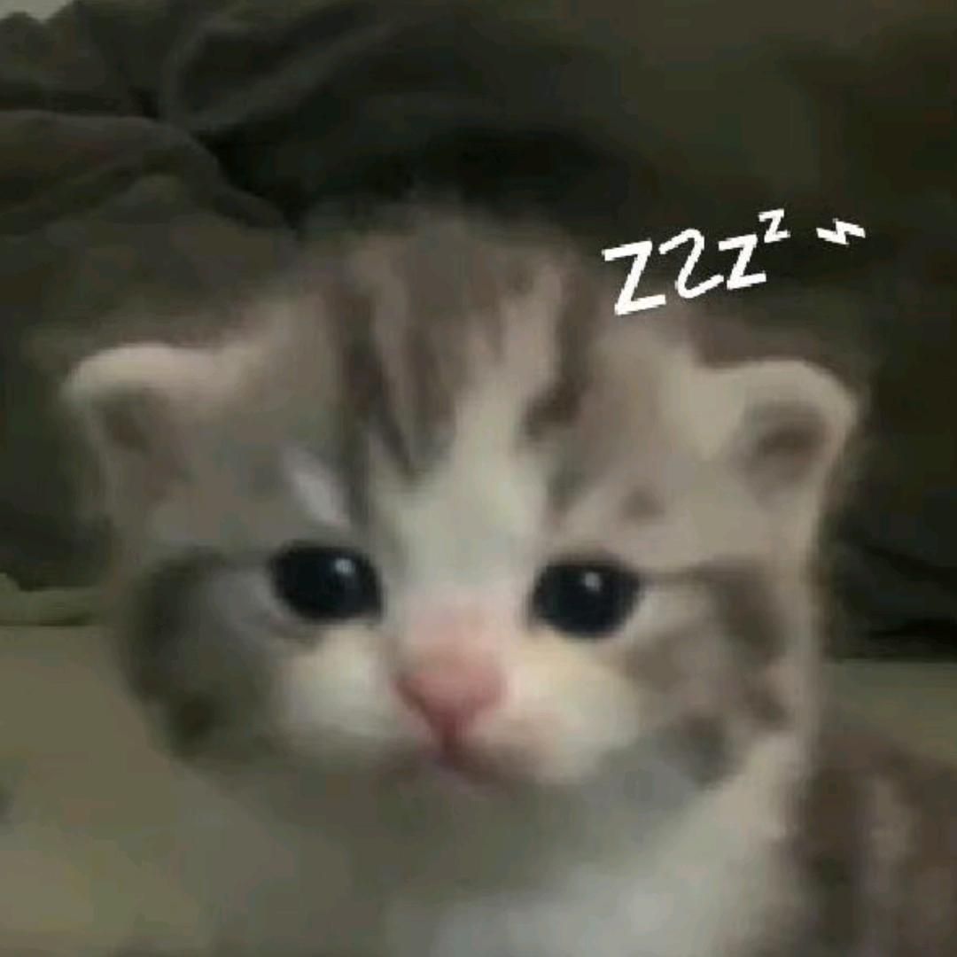 淡紫皇家曲奇（想要推荐喵）