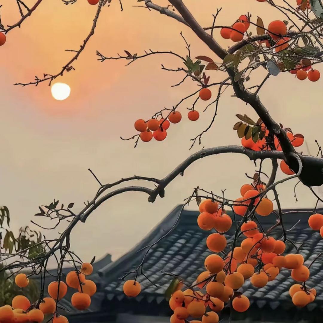 薛长玉💰💰💰