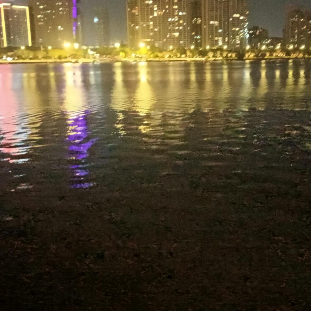 阿飞599