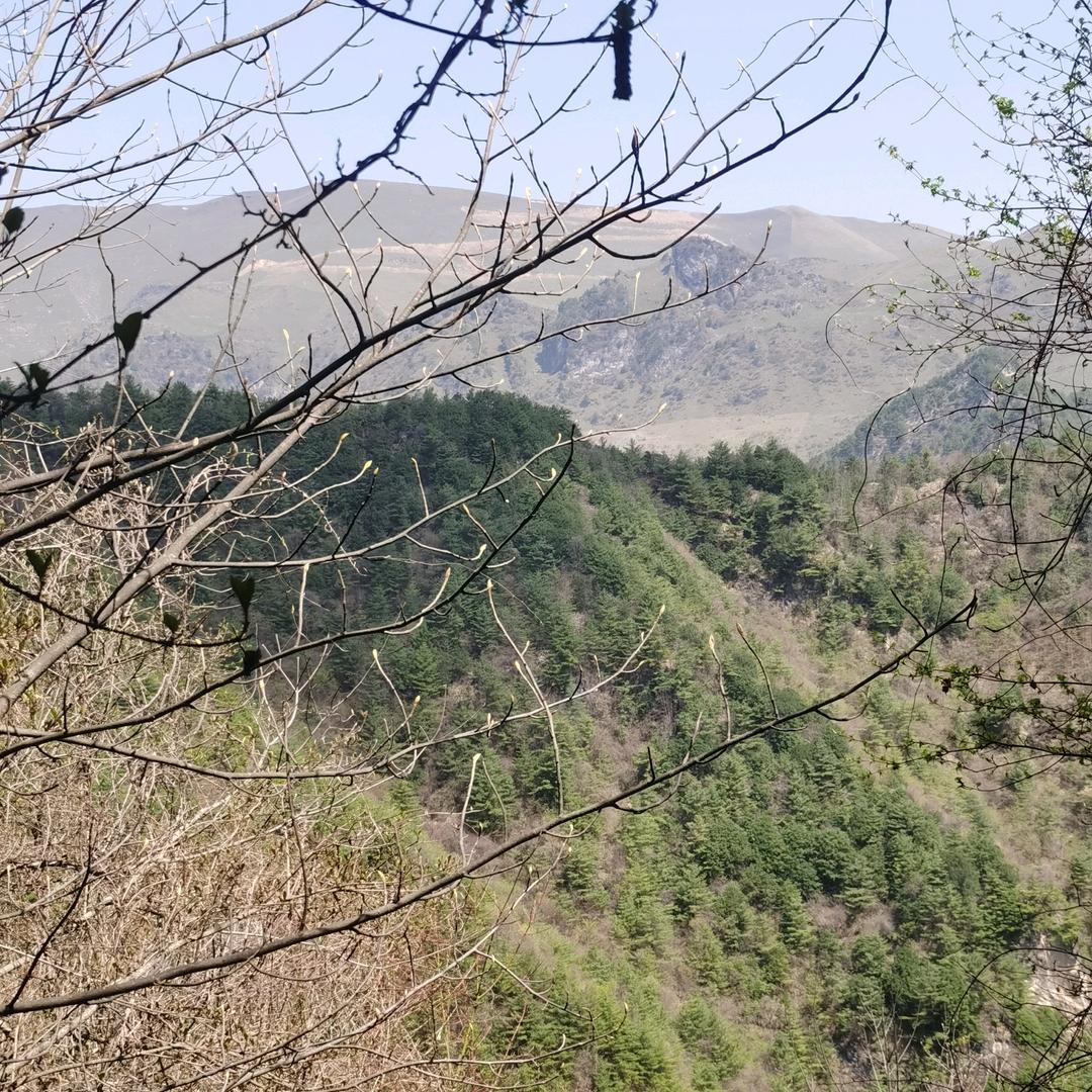 鸭子给给