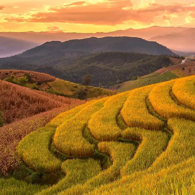 奔跑的蜗牛。(◦˙▽˙◦)