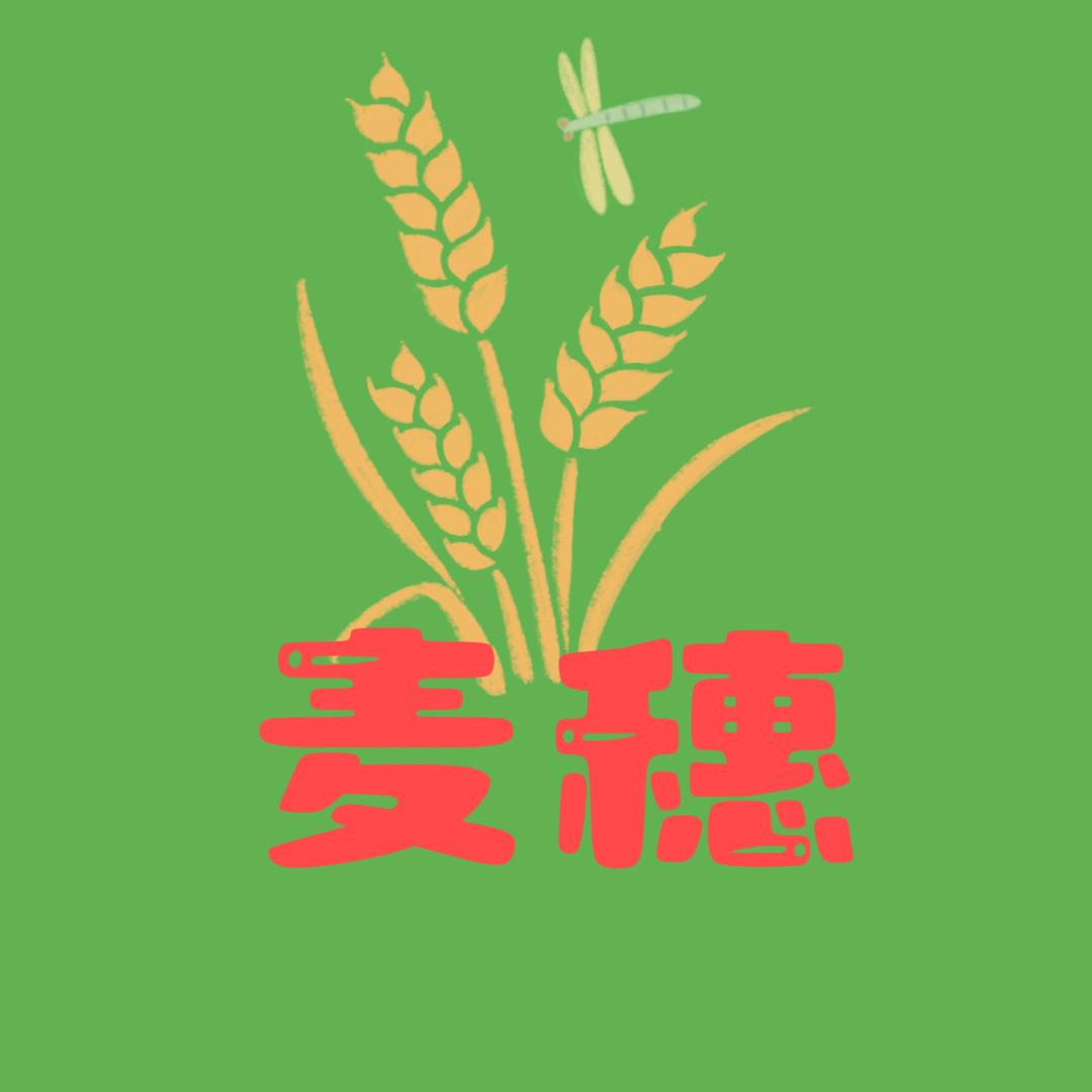 麦穗