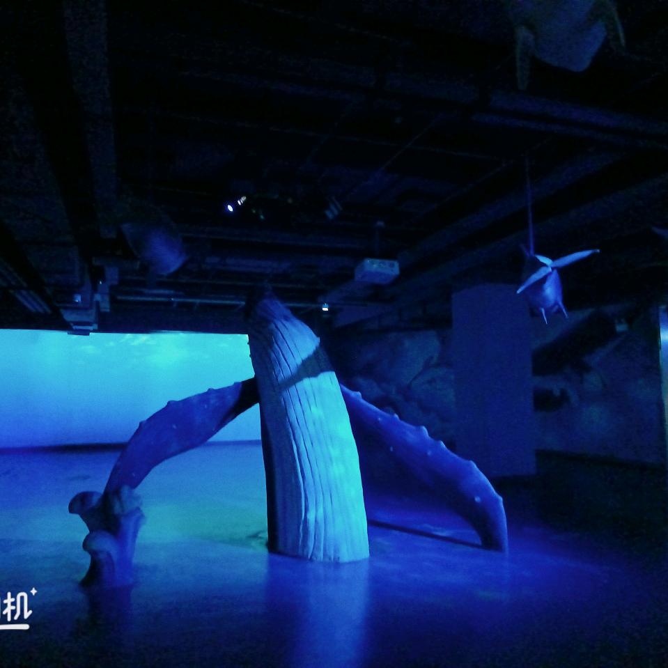 爱自己