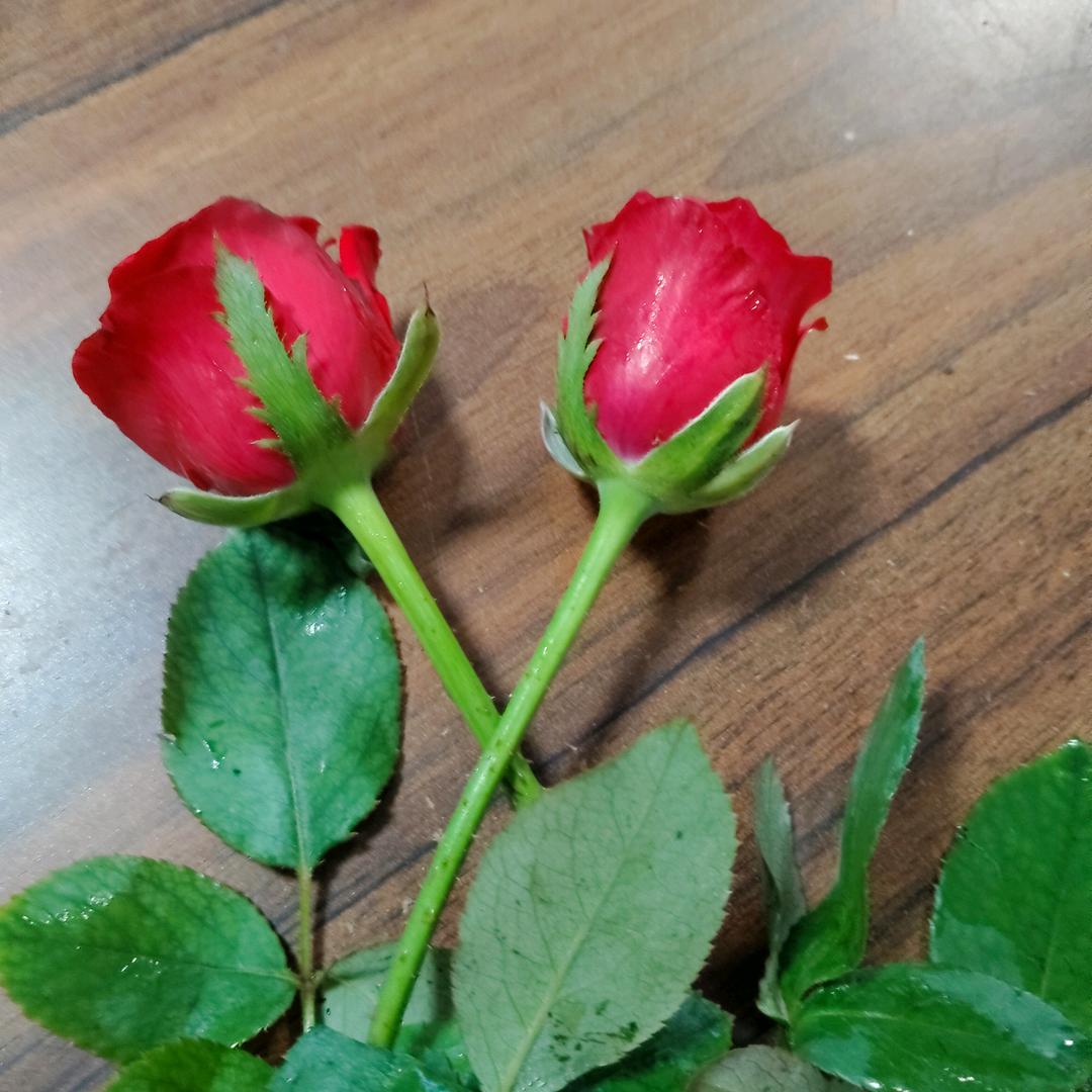 俺是农村的