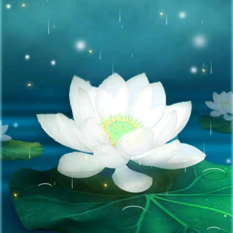 妙音（接善缘））