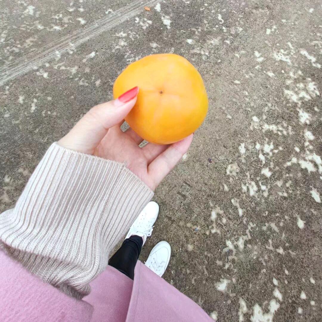 @ღ🌺崶芯এ᭄💝锁爱🌺ོꦿ࿐：