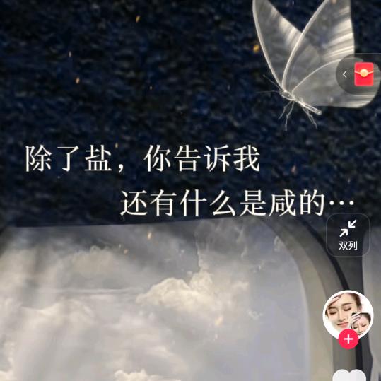 艳南飞