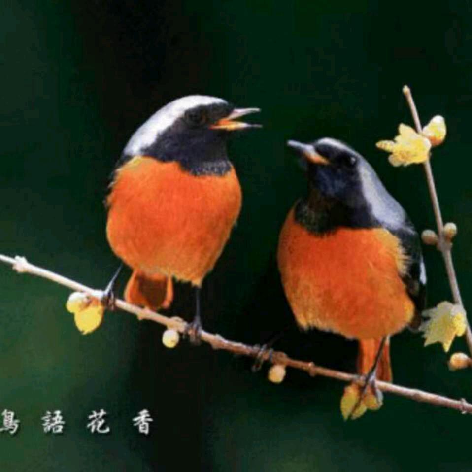 明天惠更好