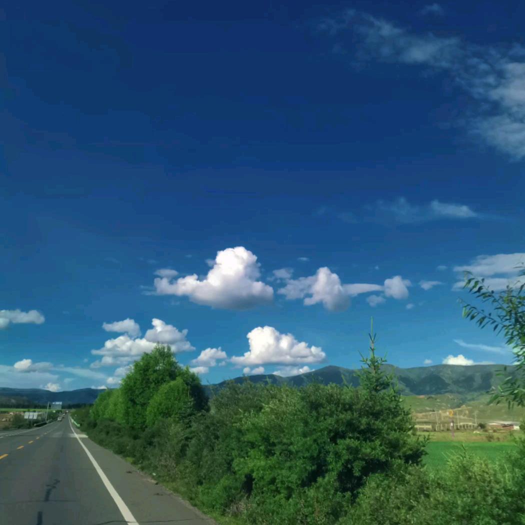雄戈