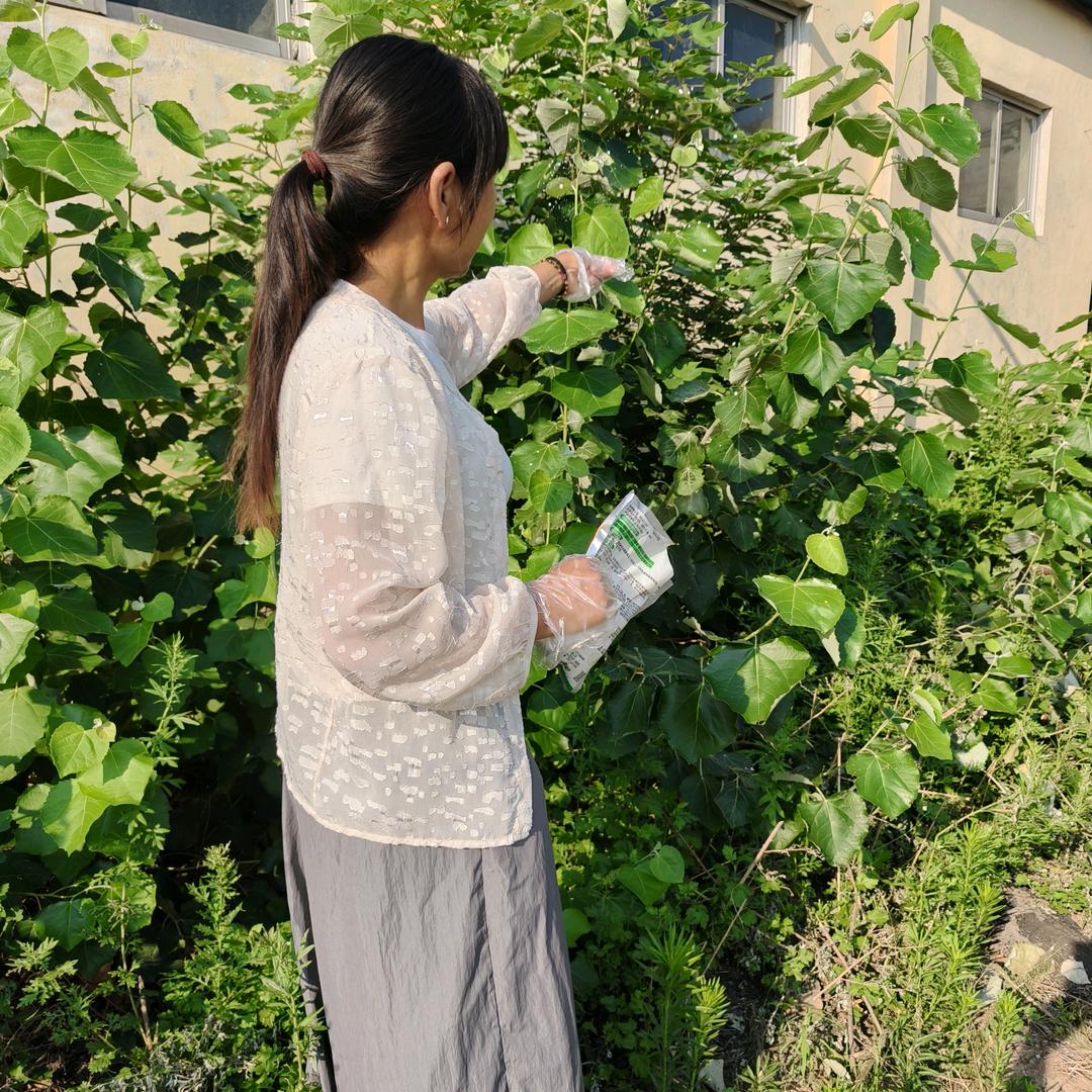 悦悦农资店