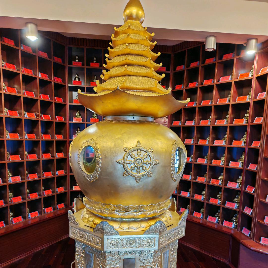 敬真我