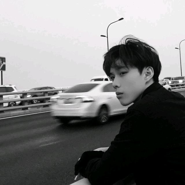 正杨
