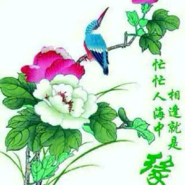 💐🌺一生无悔💐🌺