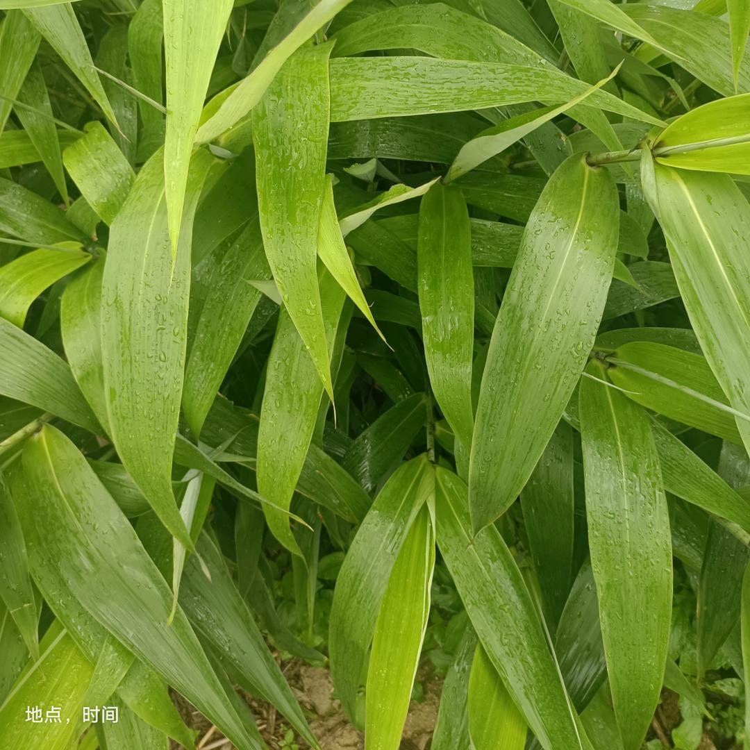 东升商贸优品店