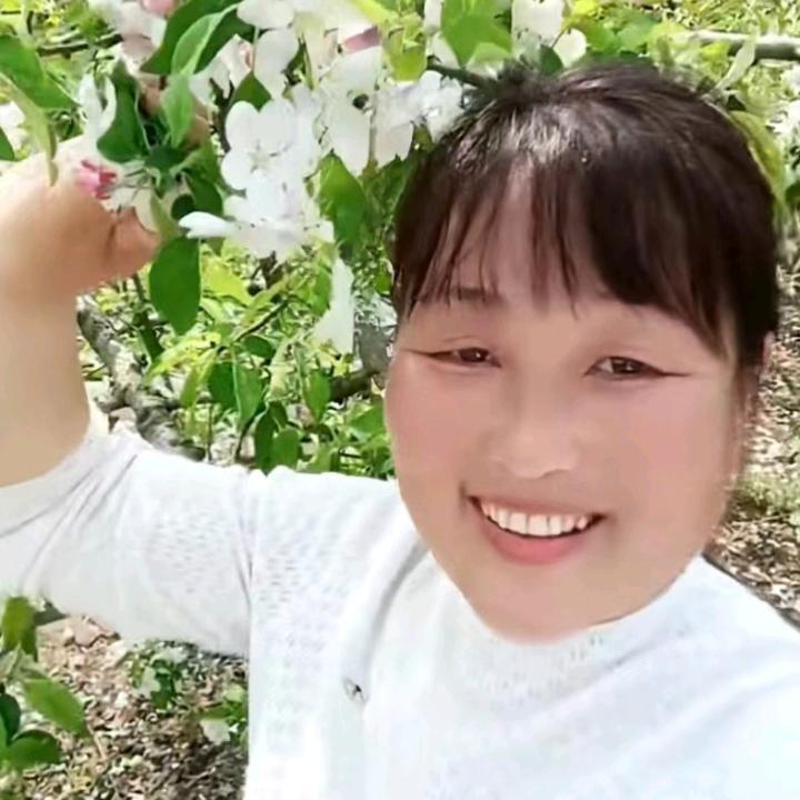 杨杨