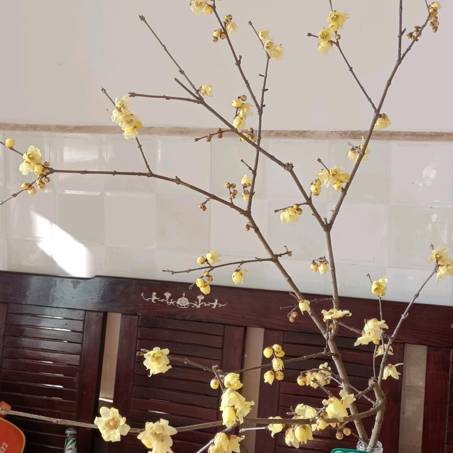 *^_^*蜀♥之☞香