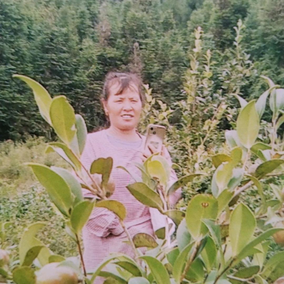 心好自然好
