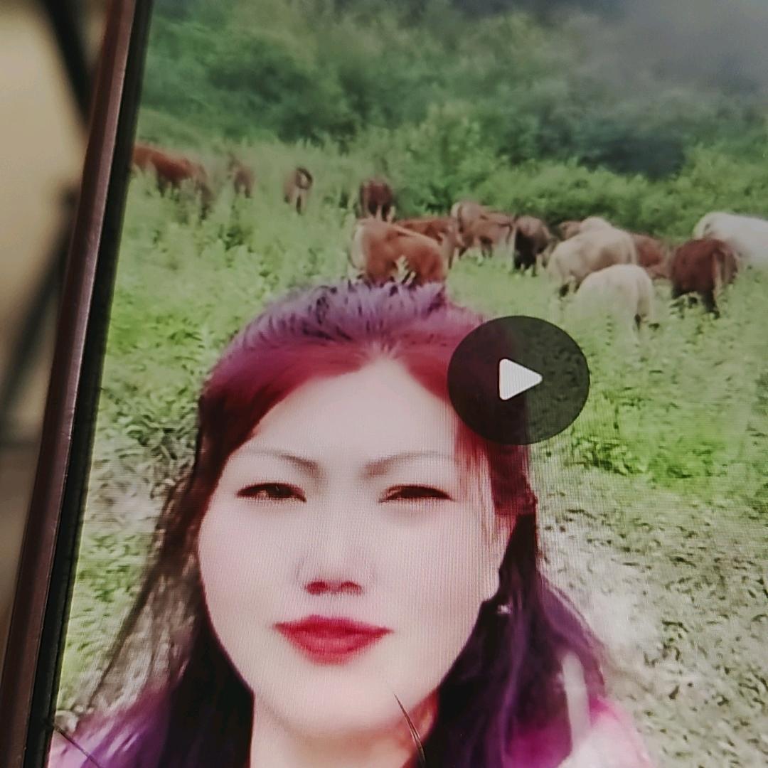 牛妹美梦成真2号