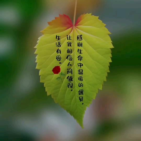 在家带娃