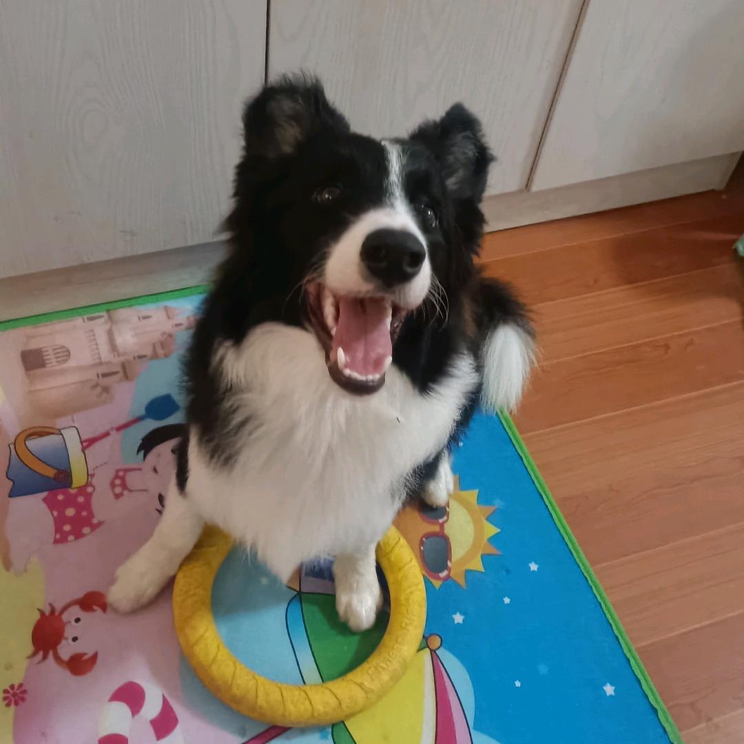 守候的温柔💃🏼💃🏼💃🏼