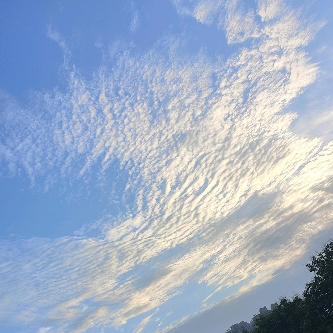 🌈随星所愿🌈