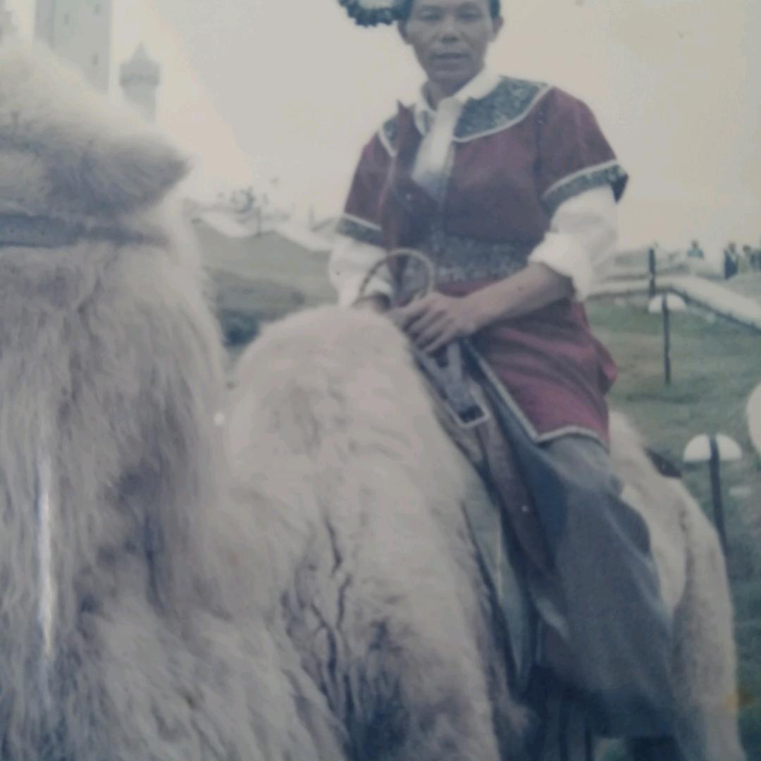 （蛋仔、暗区）小许